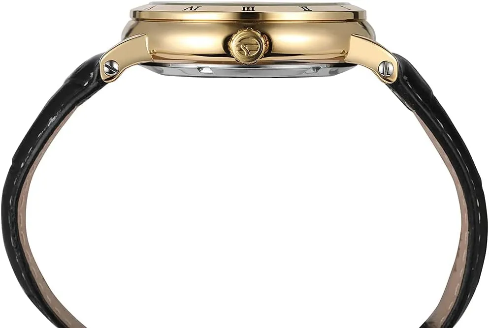 Dial Skeleton Watches earner patron SENRUD Mens Automatic Mechanical Watches Leather Strap Wrist Watch Waterproof Luxury Large 