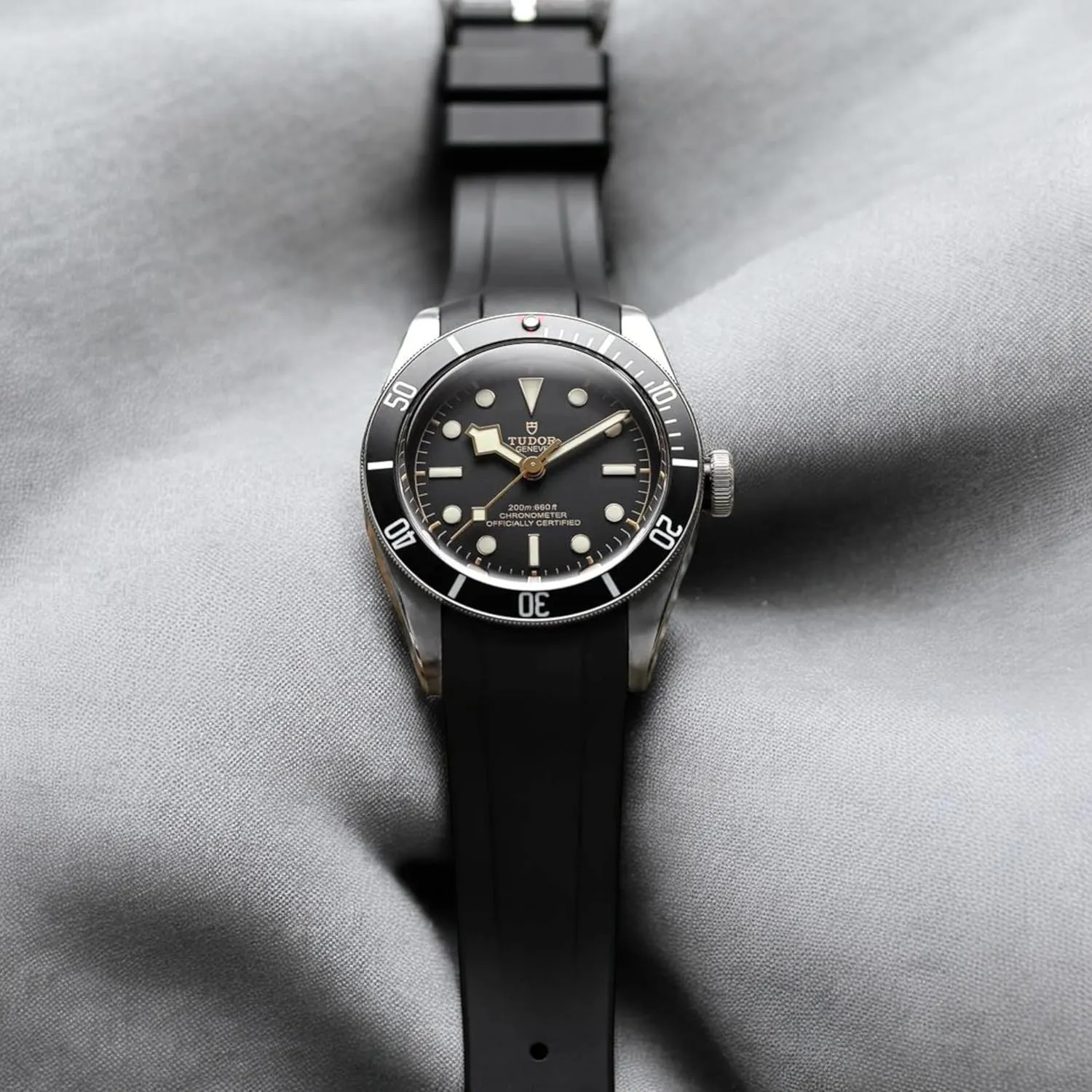 Diver Watches 41mm/GMT/Heritage Chrono 41mm 42mm - Replacement Straps - 22mm - 79230, 79350, 79363, 79730 Integrated Curved End FKM wren raw Rubber Watch Bands Compatible for Tudor Black Bay 
