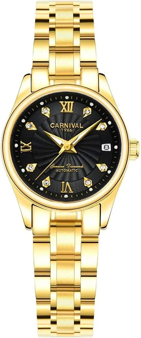 Gold Dress (All Gold Black) Carnival Women's Automatic Mechanical compound Watch Fashion 
