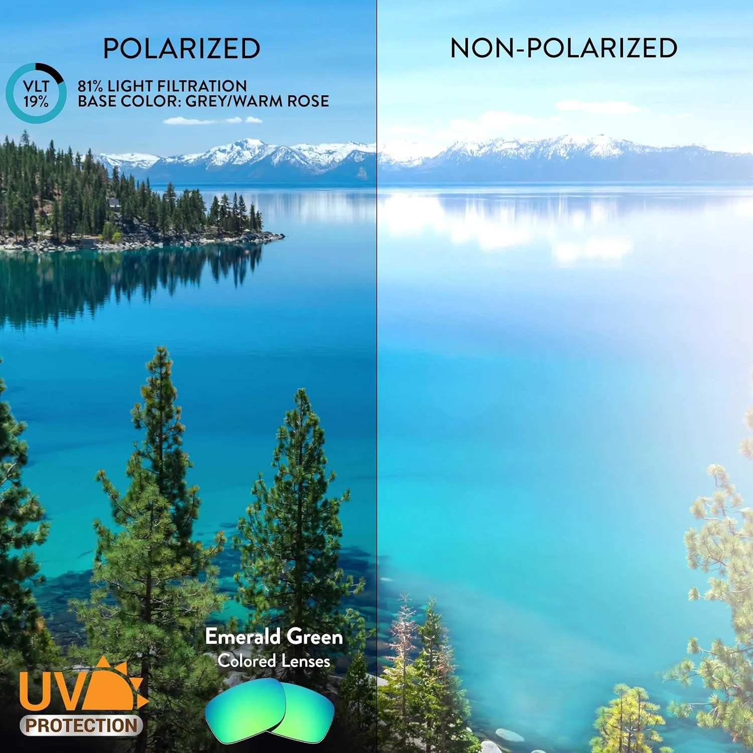 Replacement Lenses significant for Serengeti 6404 Sunglasses Apex Lenses 