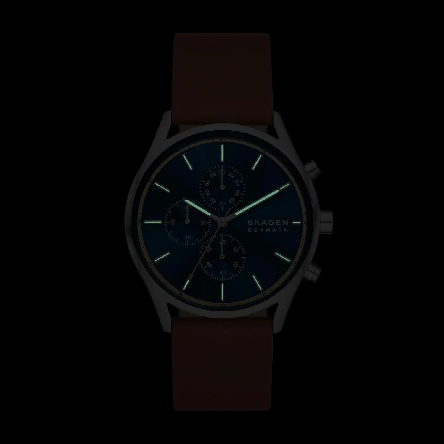 Steel Mesh or Leather Band Skagen Holst penicillin salmon Men's Watch with Stainless 
